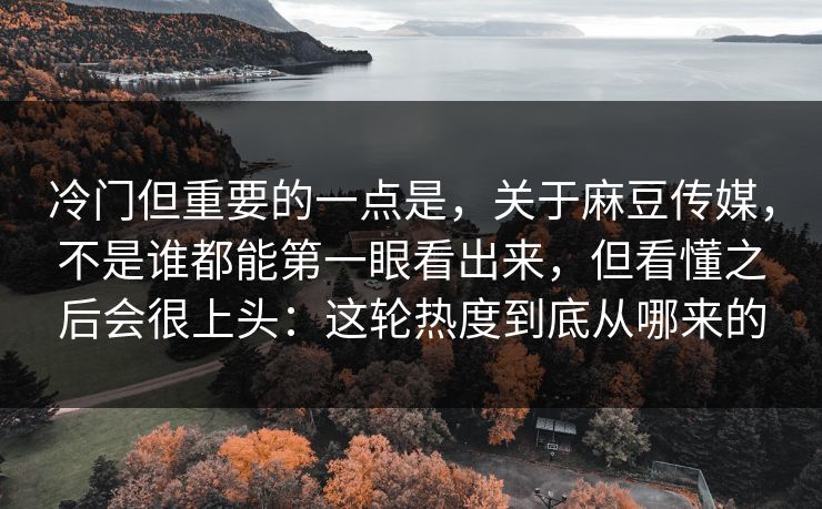冷门但重要的一点是，关于麻豆传媒，不是谁都能第一眼看出来，但看懂之后会很上头：这轮热度到底从哪来的