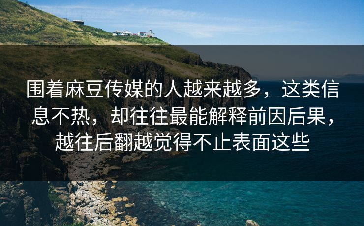 围着麻豆传媒的人越来越多，这类信息不热，却往往最能解释前因后果，越往后翻越觉得不止表面这些